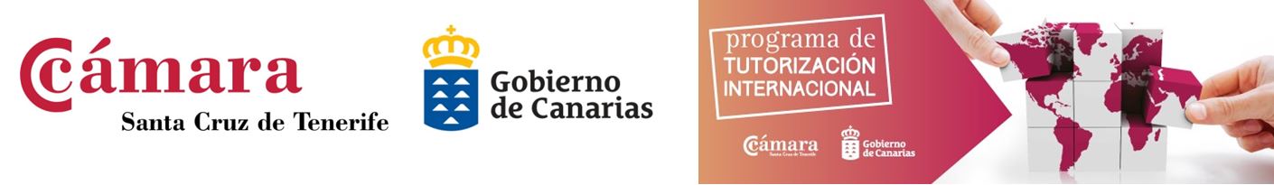 Programa de Tutorización Internacional